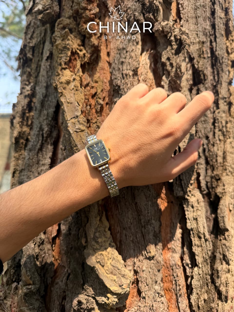 Ladies DW Gold Silver