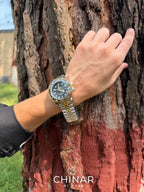Rolex GMT Master 2 Silver Gold