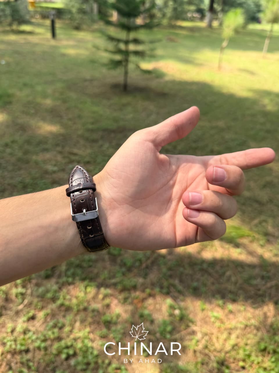 Cartier Quartz Old Money (Brown)