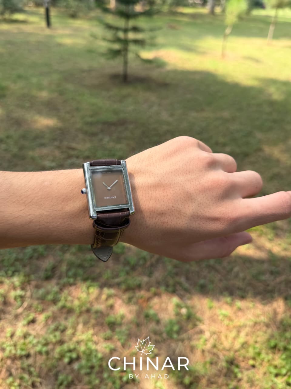 Cartier Quartz Old Money (Brown)