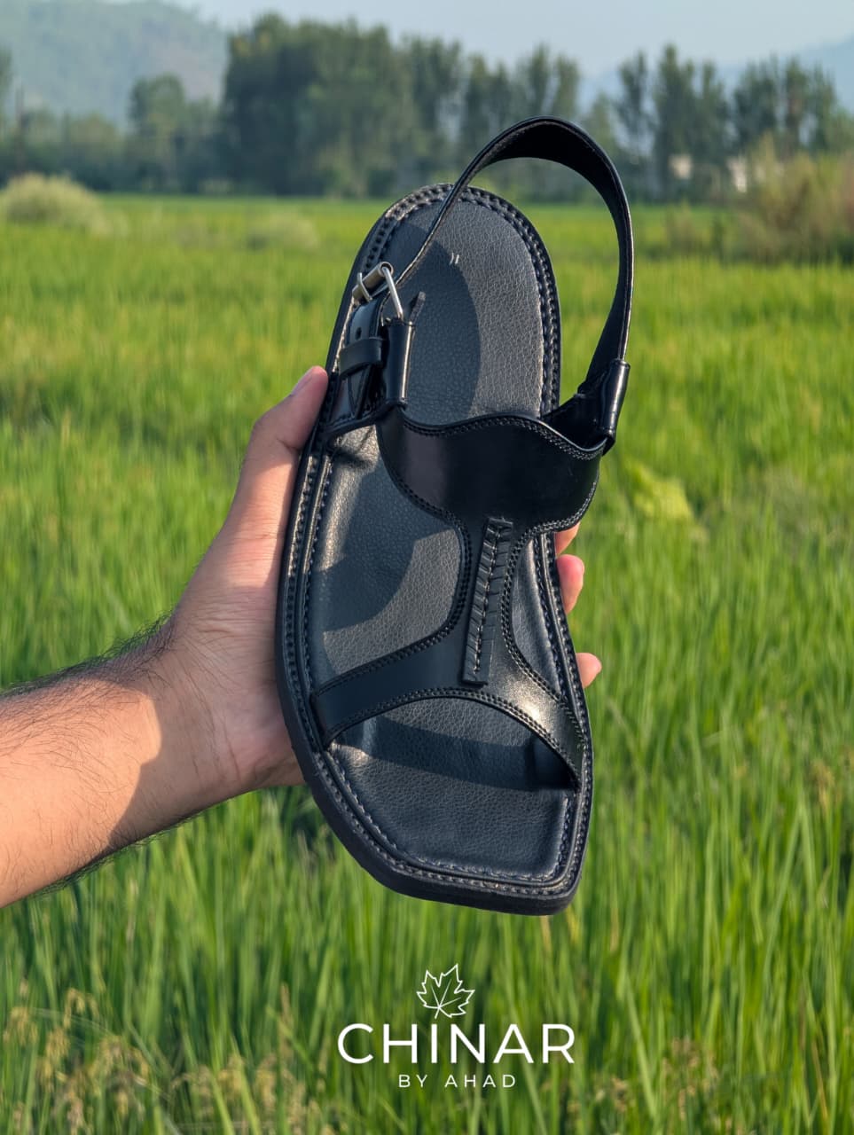 Black Panjadora