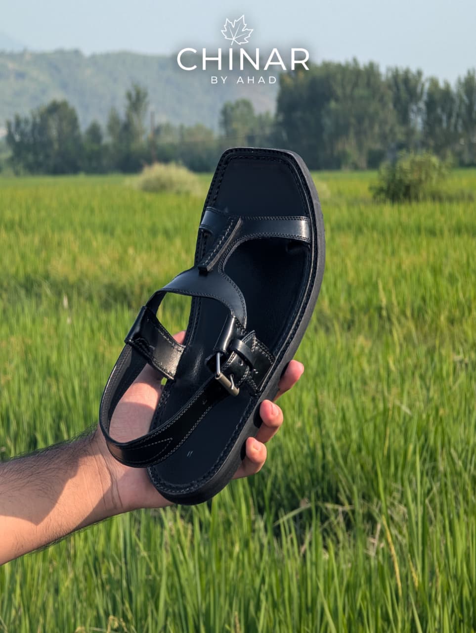 Black Panjadora