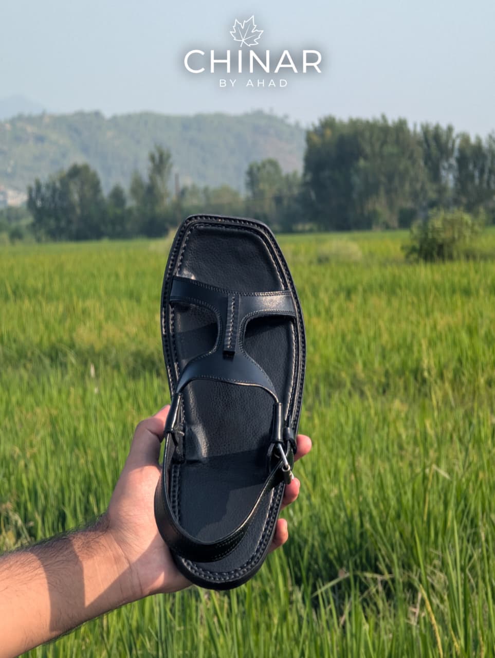 Black Panjadora