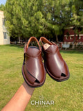 Brown Ringsloe