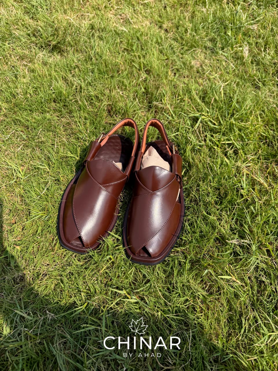Brown Ringsloe